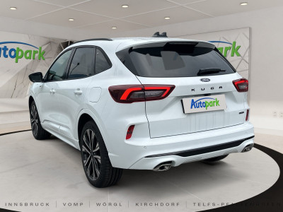 Ford Kuga Vorführwagen