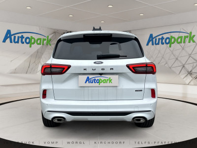 Ford Kuga Vorführwagen