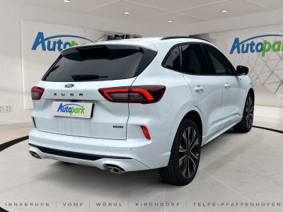 Ford Kuga Vorführwagen