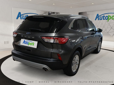 Ford Kuga Gebrauchtwagen