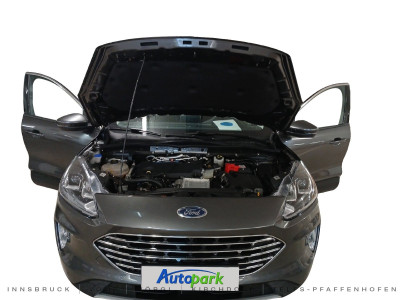 Ford Kuga Gebrauchtwagen