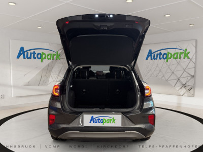 Ford Puma Gebrauchtwagen