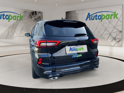 Ford Kuga Vorführwagen Ford Kuga Vorführwagen