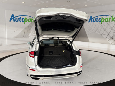 Ford Mondeo Gebrauchtwagen