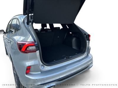 Ford Kuga Neuwagen