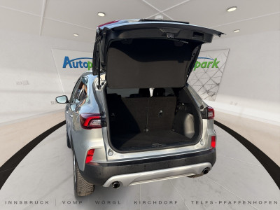 Ford Kuga Gebrauchtwagen Ford Kuga Gebrauchtwagen