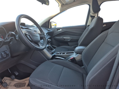 Ford Kuga Gebrauchtwagen