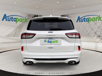 Ford Kuga Gebrauchtwagen Ford Kuga Gebrauchtwagen