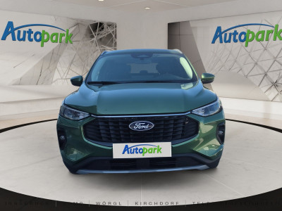 Ford Kuga Gebrauchtwagen Ford Kuga Gebrauchtwagen