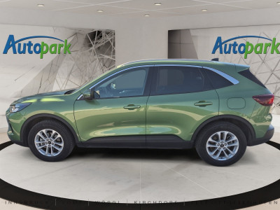 Ford Kuga Gebrauchtwagen Ford Kuga Gebrauchtwagen