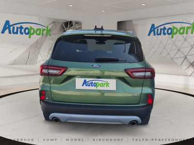 Ford Kuga Gebrauchtwagen Ford Kuga Gebrauchtwagen