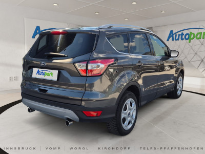 Ford Kuga Gebrauchtwagen