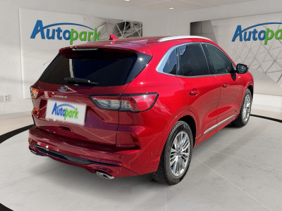 Ford Kuga Gebrauchtwagen