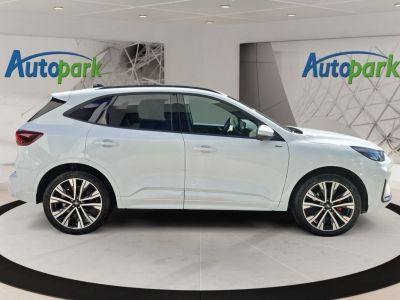 Ford Kuga Vorführwagen Ford Kuga Vorführwagen