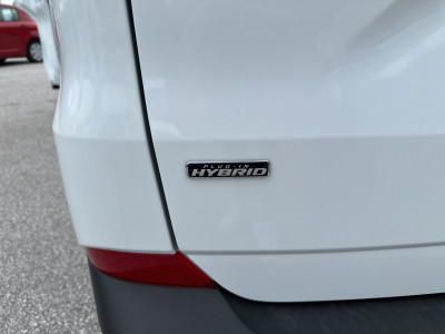 Ford Tourneo Custom Neuwagen Ford Tourneo Custom Neuwagen