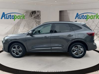 Ford Kuga Neuwagen