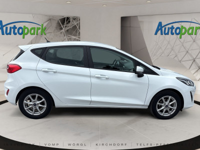 Ford Fiesta Gebrauchtwagen Ford Fiesta Gebrauchtwagen