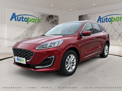 Ford Kuga Vorführwagen
