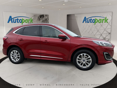 Ford Kuga Vorführwagen