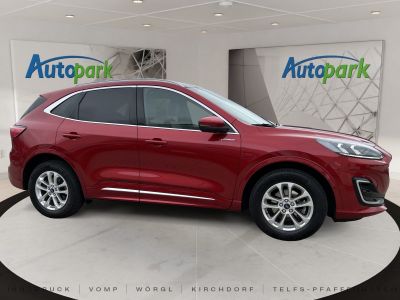 Ford Kuga Vorführwagen Ford Kuga Vorführwagen