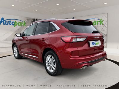 Ford Kuga Vorführwagen Ford Kuga Vorführwagen