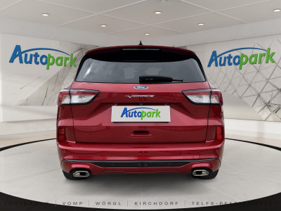 Ford Kuga Vorführwagen