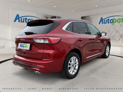 Ford Kuga Vorführwagen