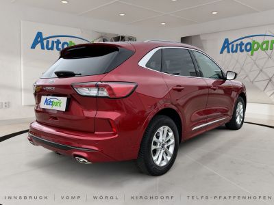 Ford Kuga Vorführwagen Ford Kuga Vorführwagen
