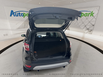 Ford Kuga Gebrauchtwagen Ford Kuga Gebrauchtwagen