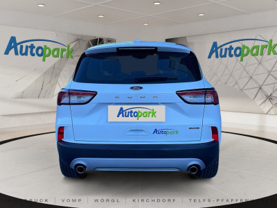 Ford Kuga Vorführwagen
