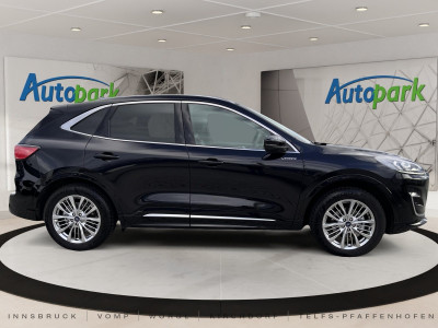 Ford Kuga Gebrauchtwagen