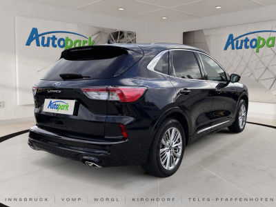 Ford Kuga Gebrauchtwagen
