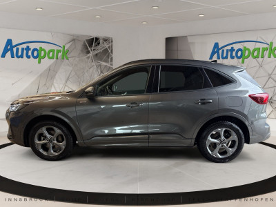 Ford Kuga Gebrauchtwagen Ford Kuga Gebrauchtwagen