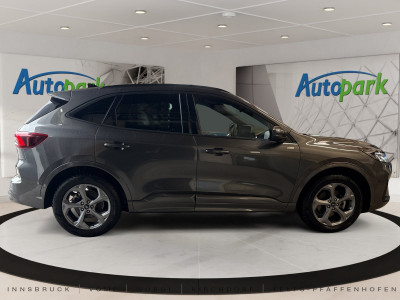 Ford Kuga Gebrauchtwagen Ford Kuga Gebrauchtwagen