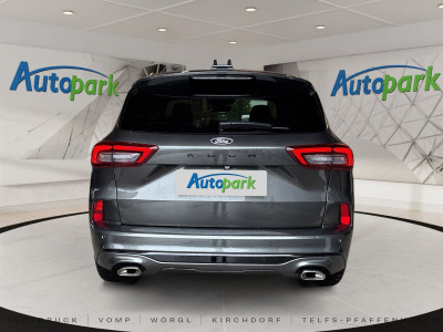 Ford Kuga Gebrauchtwagen Ford Kuga Gebrauchtwagen