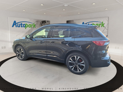 Ford Kuga Gebrauchtwagen Ford Kuga Gebrauchtwagen