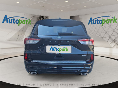 Ford Kuga Gebrauchtwagen Ford Kuga Gebrauchtwagen