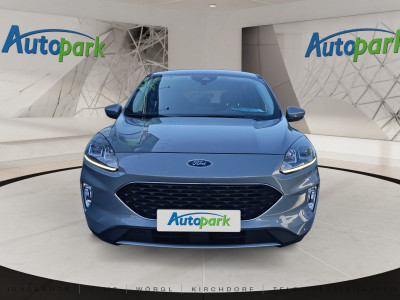 Ford Kuga Gebrauchtwagen Ford Kuga Gebrauchtwagen