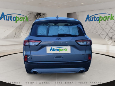 Ford Kuga Gebrauchtwagen Ford Kuga Gebrauchtwagen