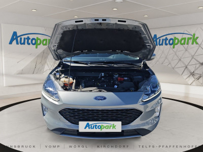 Ford Kuga Gebrauchtwagen Ford Kuga Gebrauchtwagen