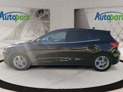 Ford Focus Gebrauchtwagen Ford Focus Gebrauchtwagen