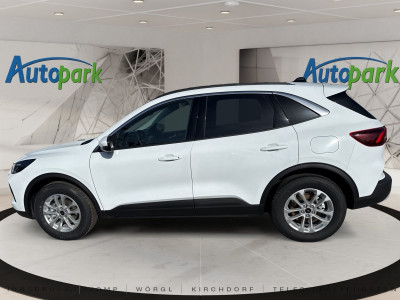 Ford Kuga Neuwagen