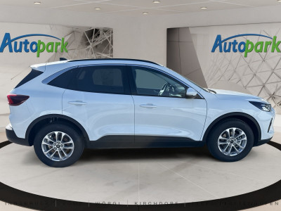 Ford Kuga Neuwagen