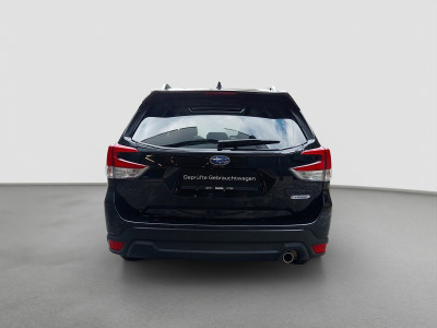 Subaru Forester Gebrauchtwagen