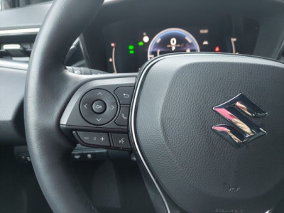 Suzuki Swace Gebrauchtwagen