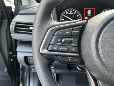 Subaru Crosstrek Vorführwagen