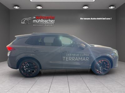 Cupra Ateca Gebrauchtwagen