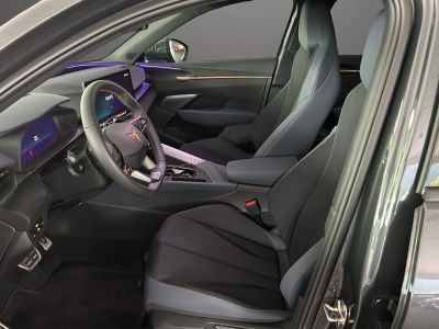 Cupra Terramar Gebrauchtwagen