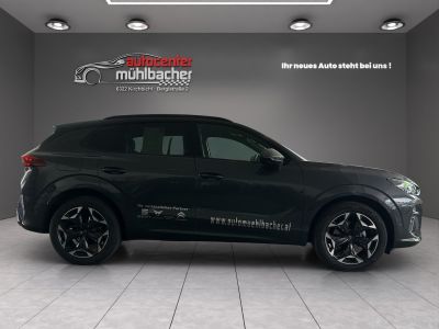 Cupra Terramar Gebrauchtwagen