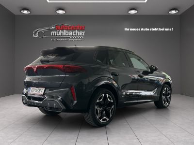 Cupra Terramar Gebrauchtwagen